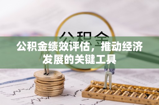 嘉兴公积金绩效评估，推动经济发展的关键工具