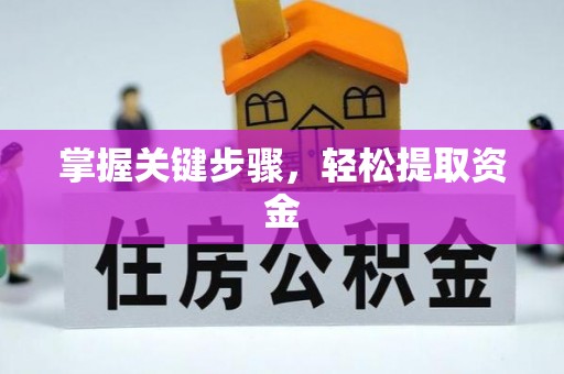 嘉兴掌握关键步骤，轻松提取资金
