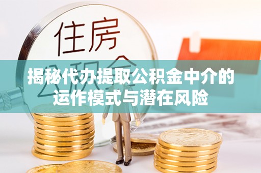嘉兴揭秘代办提取公积金中介的运作模式与潜在风险