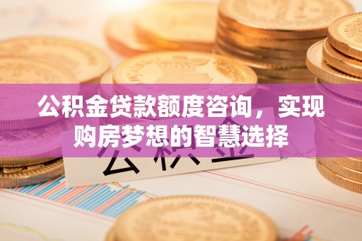 嘉兴公积金贷款额度咨询，实现购房梦想的智慧选择