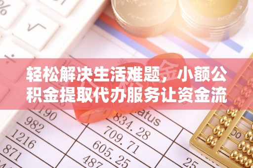 嘉兴轻松解决生活难题，小额公积金提取代办服务让资金流动更便捷