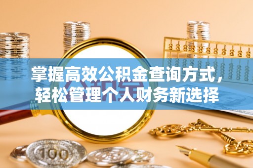 嘉兴掌握高效公积金查询方式，轻松管理个人财务新选择