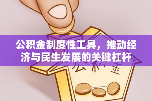 嘉兴公积金制度性工具，推动经济与民生发展的关键杠杆
