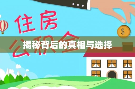 嘉兴揭秘背后的真相与选择