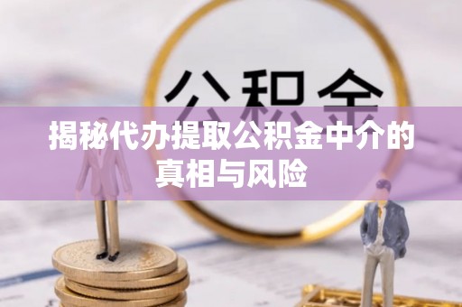 嘉兴揭秘代办提取公积金中介的真相与风险