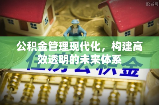 嘉兴公积金管理现代化，构建高效透明的未来体系