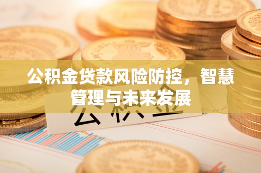 嘉兴公积金贷款风险防控，智慧管理与未来发展