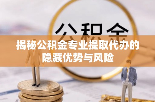 嘉兴揭秘公积金专业提取代办的隐藏优势与风险