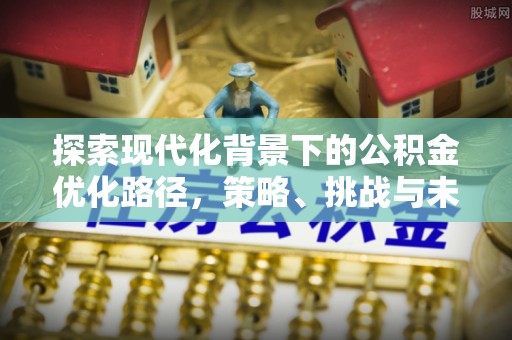 嘉兴探索现代化背景下的公积金优化路径，策略、挑战与未来展望