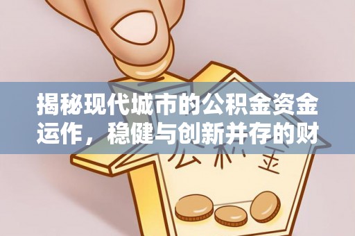 嘉兴揭秘现代城市的公积金资金运作，稳健与创新并存的财富管理之道