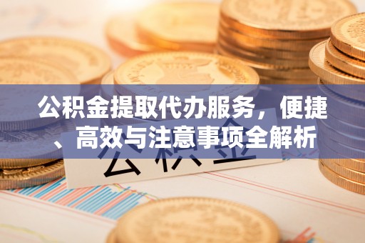 嘉兴公积金提取代办服务，便捷、高效与注意事项全解析