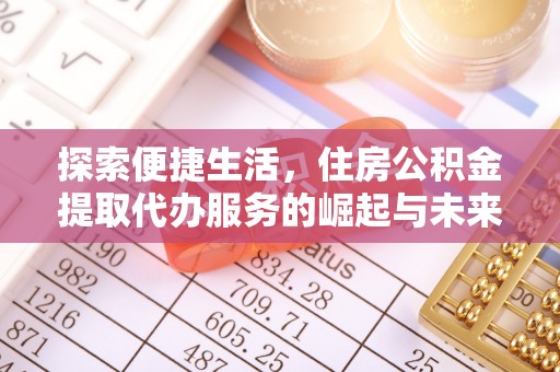 嘉兴探索便捷生活，住房公积金提取代办服务的崛起与未来趋势