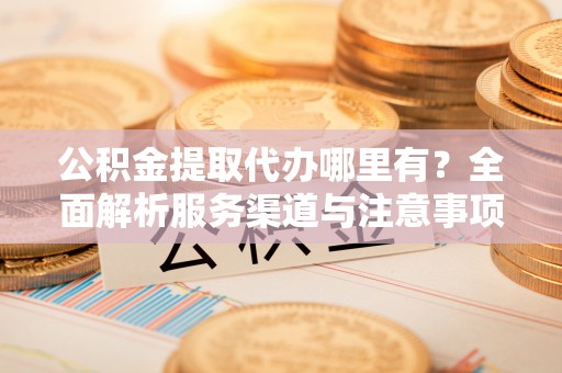 嘉兴公积金提取代办哪里有？全面解析服务渠道与注意事项