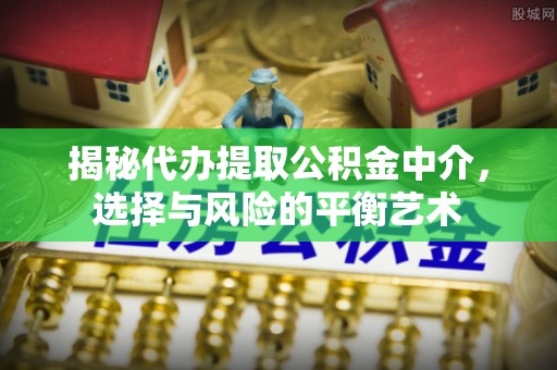 嘉兴揭秘代办提取公积金中介，选择与风险的平衡艺术