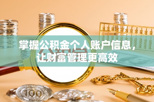 嘉兴掌握公积金个人账户信息，让财富管理更高效