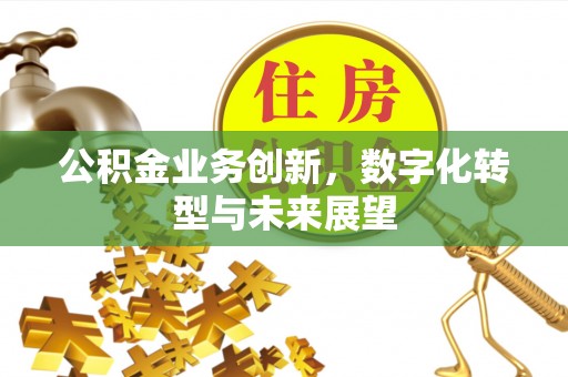 嘉兴公积金业务创新，数字化转型与未来展望