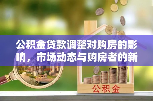 嘉兴公积金贷款调整对购房的影响，市场动态与购房者的新选择