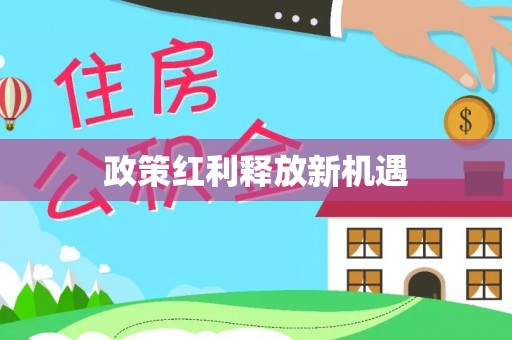 嘉兴政策红利释放新机遇
