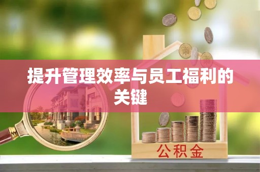 嘉兴提升管理效率与员工福利的关键
