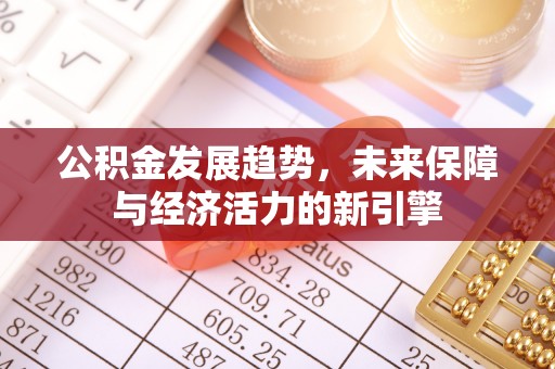 嘉兴公积金发展趋势，未来保障与经济活力的新引擎