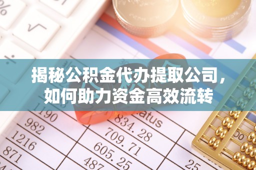 嘉兴揭秘公积金代办提取公司，如何助力资金高效流转