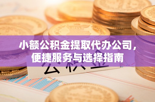 嘉兴小额公积金提取代办公司，便捷服务与选择指南