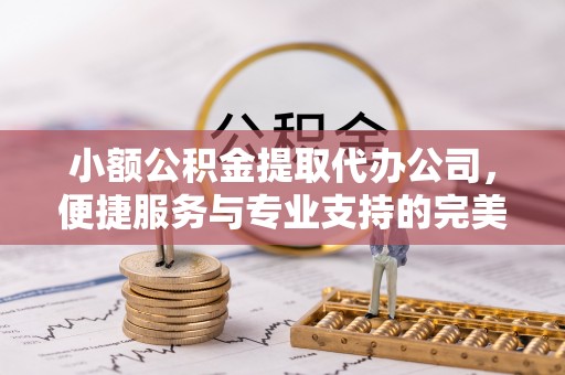 嘉兴小额公积金提取代办公司，便捷服务与专业支持的完美结合