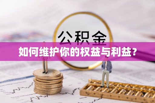 嘉兴如何维护你的权益与利益？