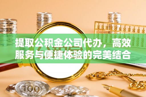 嘉兴提取公积金公司代办，高效服务与便捷体验的完美结合