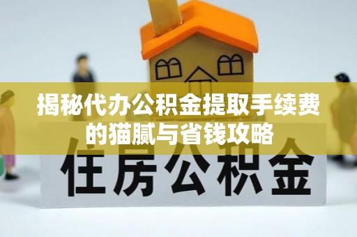 嘉兴揭秘代办公积金提取手续费的猫腻与省钱攻略