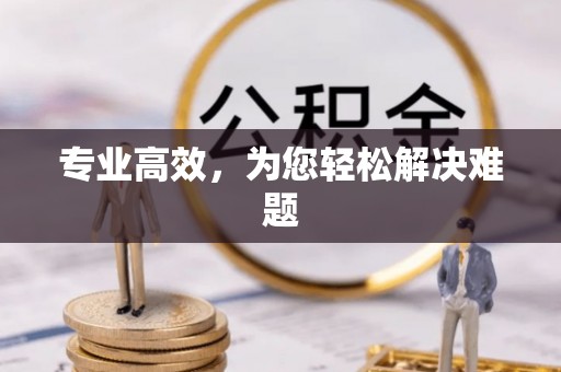 嘉兴专业高效，为您轻松解决难题
