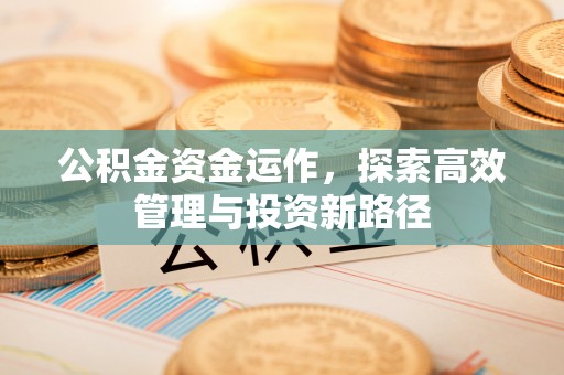 嘉兴公积金资金运作，探索高效管理与投资新路径