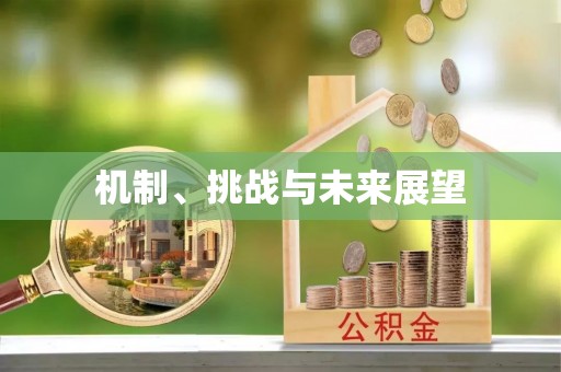 嘉兴机制、挑战与未来展望